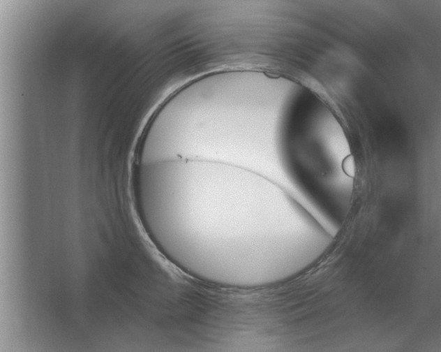 X0000062911099200601271733