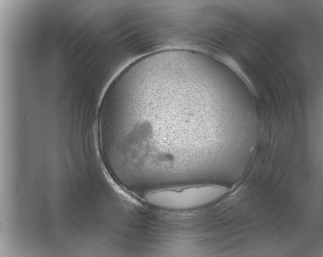 X0000062911100200601271733