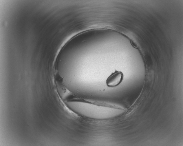 X0000062911102200601271733