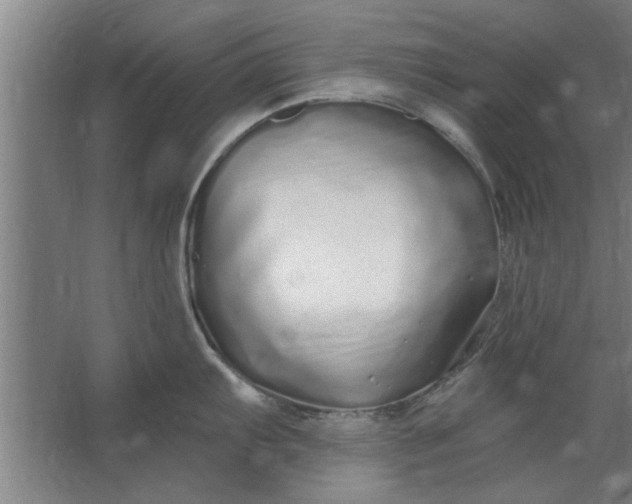 X0000062911103200601271733