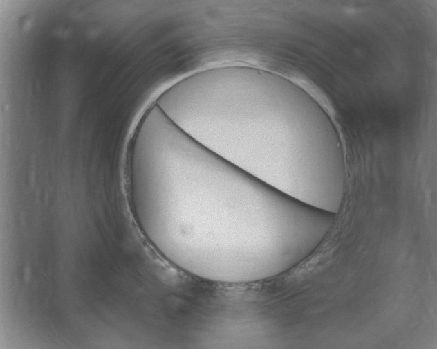 X0000062911104200601271733