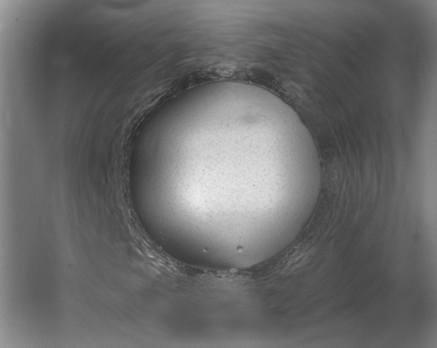 X0000062911105200601271732