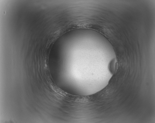 X0000062911106200601271732