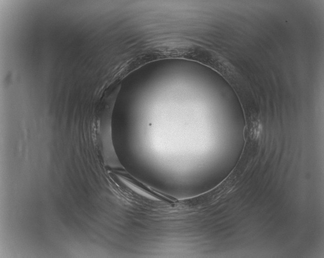 X0000062911108200601271732