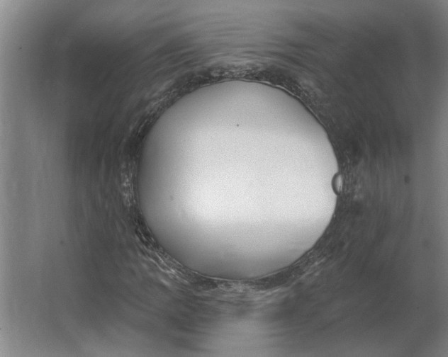 X0000062911109200601271732