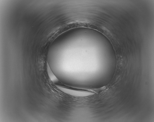 X0000062911110200601271732