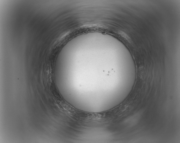 X0000062911111200601271732