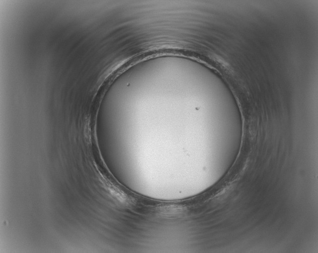 X0000062911113200601271732