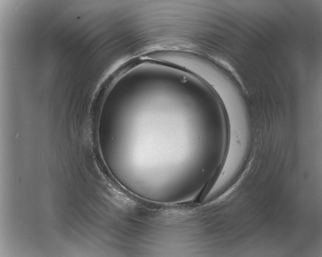 X0000062911114200601271732