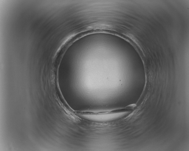 X0000062911115200601271732