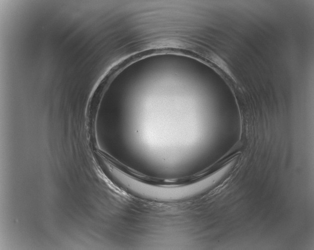 X0000062911116200601271732