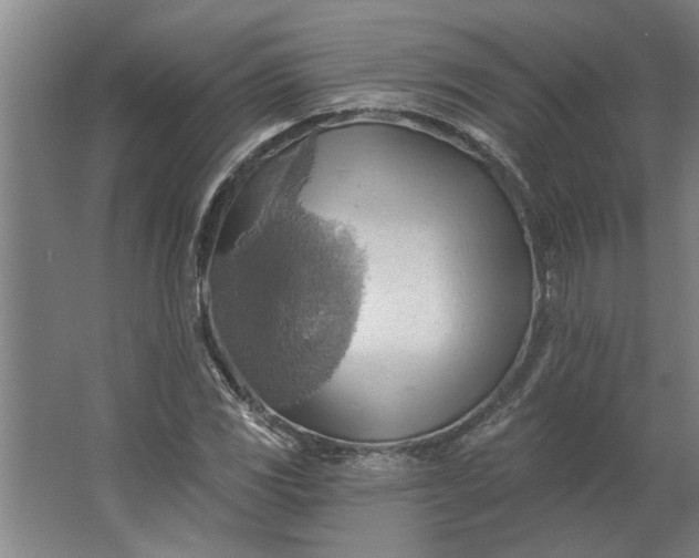 X0000062911117200601271732