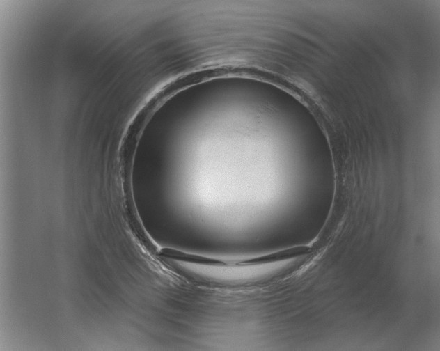 X0000062911118200601271732