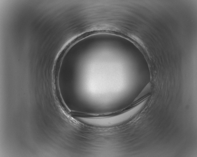 X0000062911120200601271732