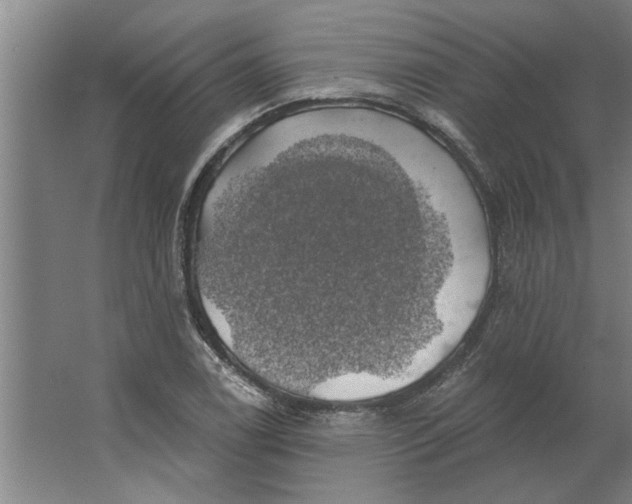 X0000062911122200601271732