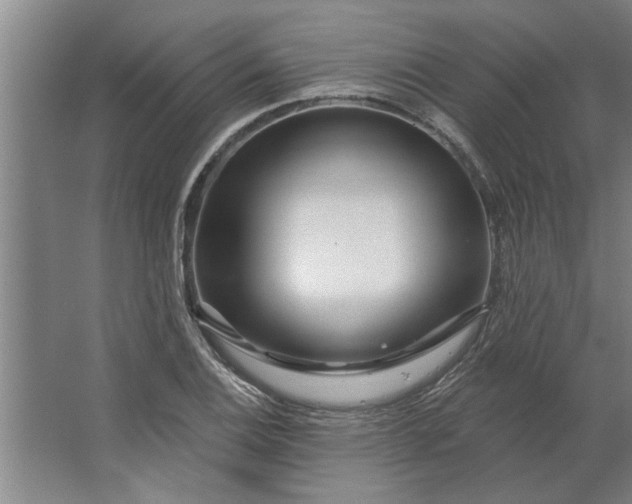 X0000062911124200601271732