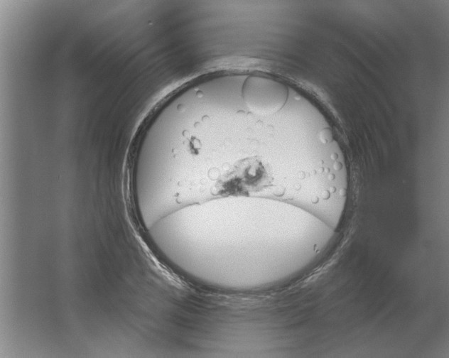 X0000062911125200601271732