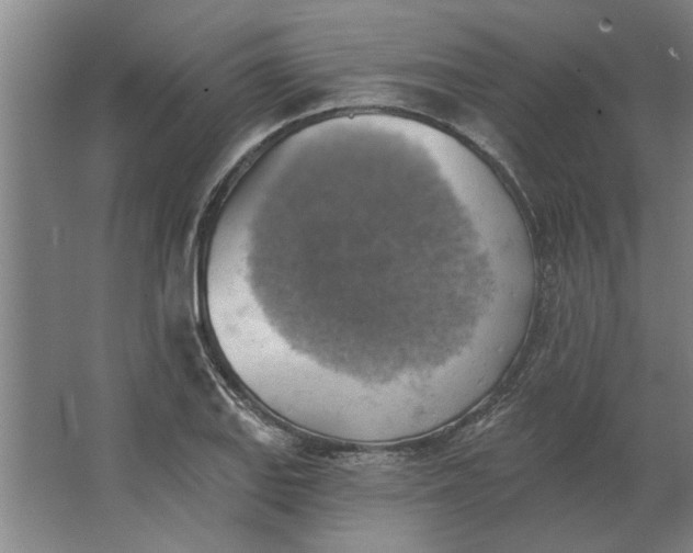 X0000062911127200601271732