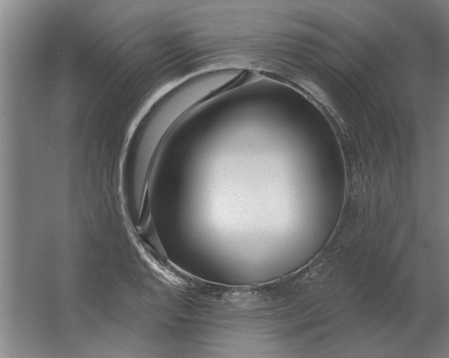 X0000062911128200601271732