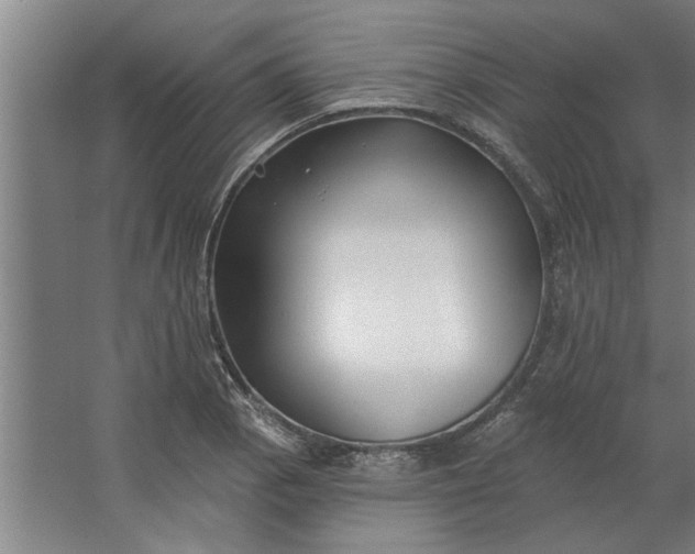 X0000062911129200601271732