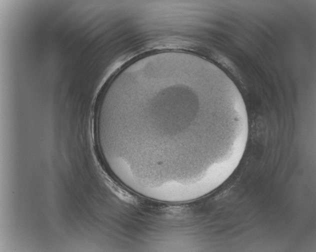 X0000062911130200601271732