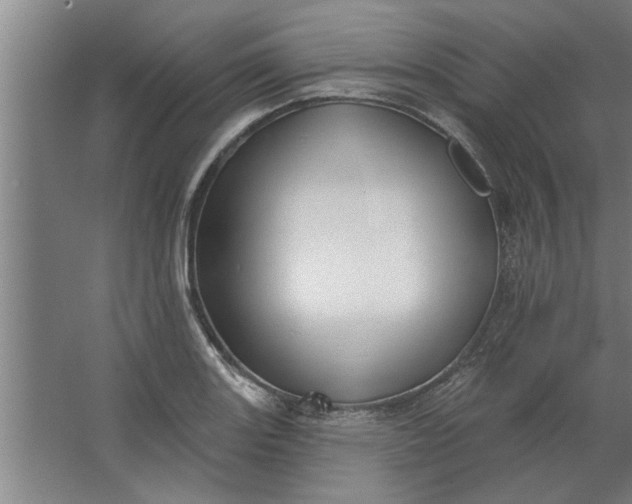 X0000062911131200601271732