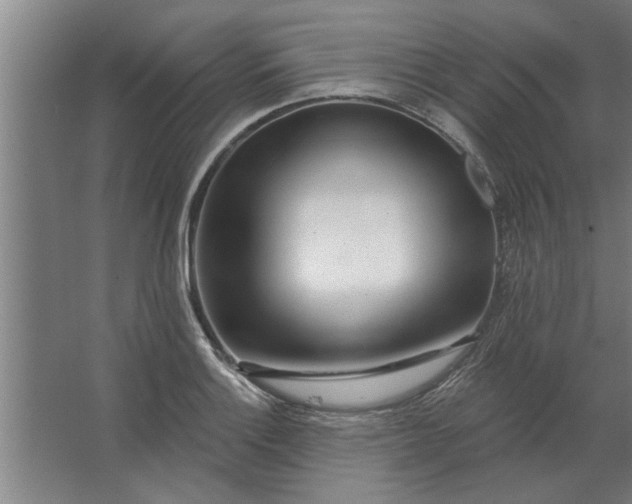 X0000062911132200601271732