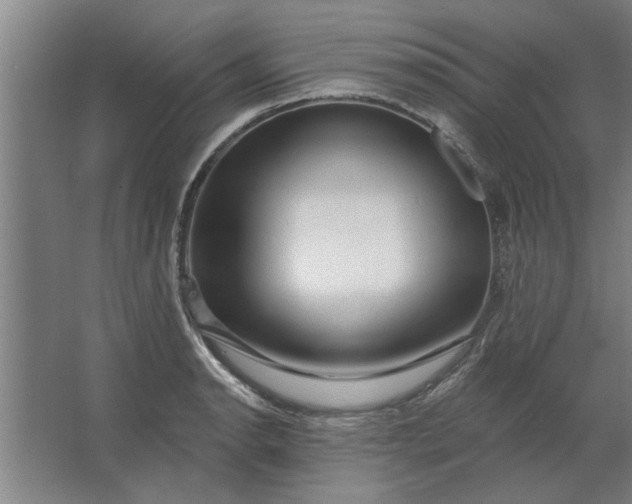 X0000062911134200601271733