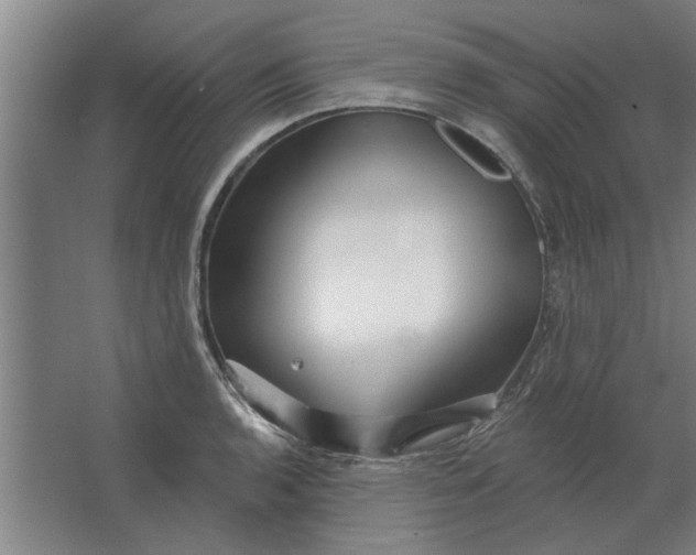 X0000062911136200601271733