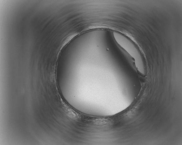 X0000062911137200601271733