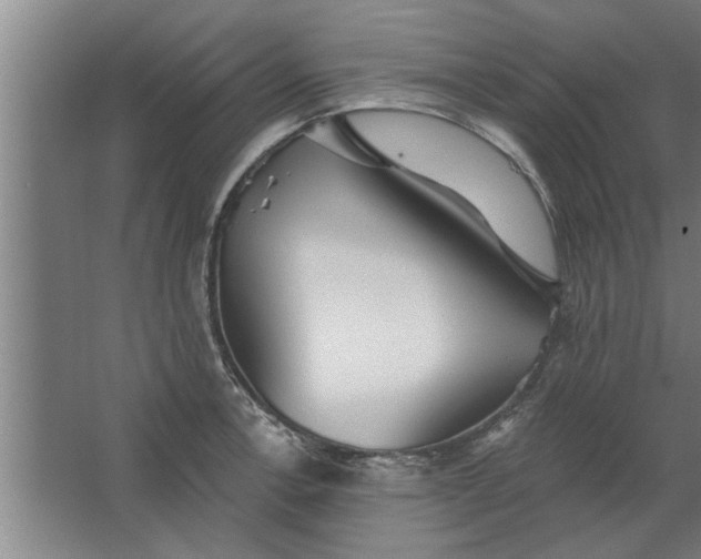 X0000062911138200601271733