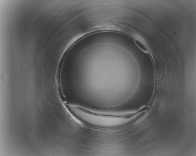 X0000062911141200601271733