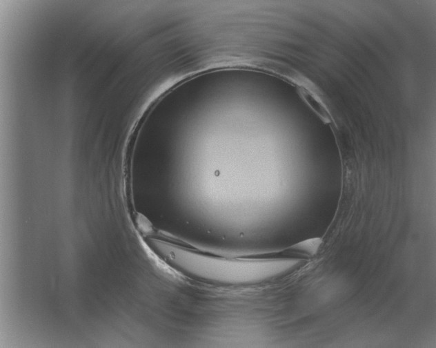 X0000062911143200601271733