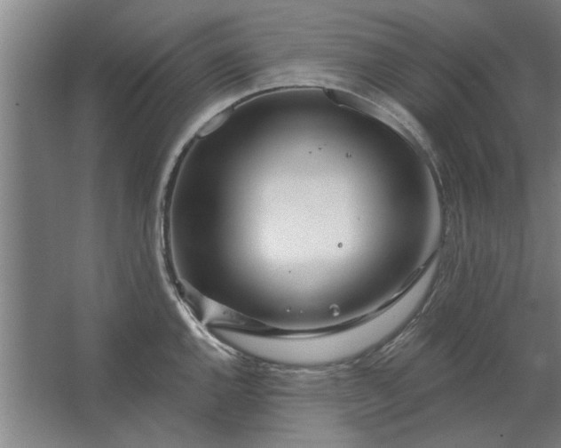 X0000062911144200601271733