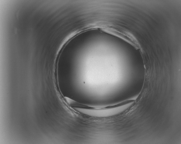 X0000062911146200601271733