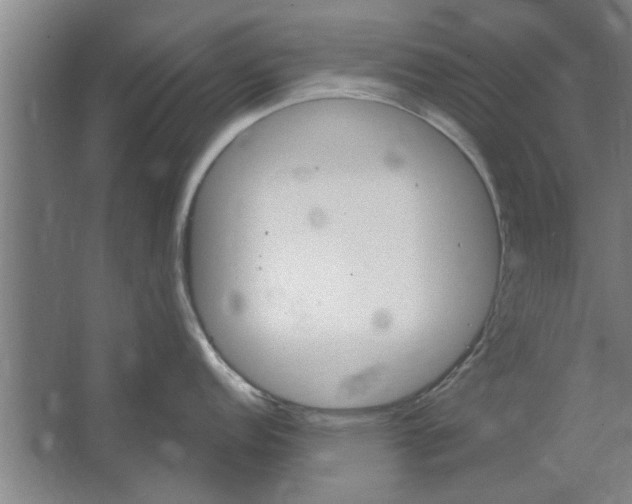 X0000062911152200601271733