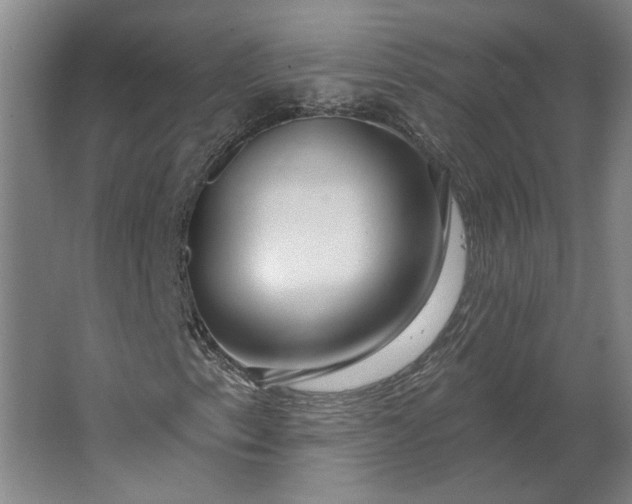 X0000062911153200601271732