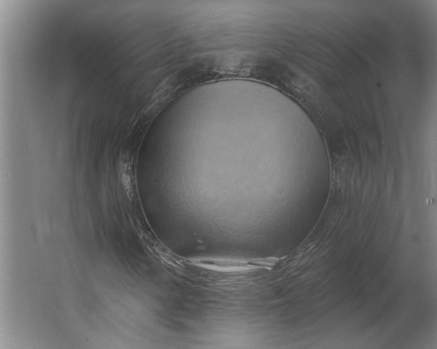 X0000062911154200601271732