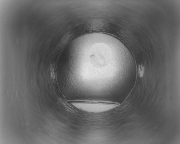 X0000062911155200601271732