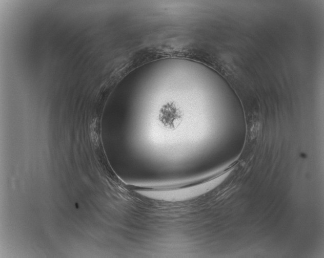 X0000062911156200601271732