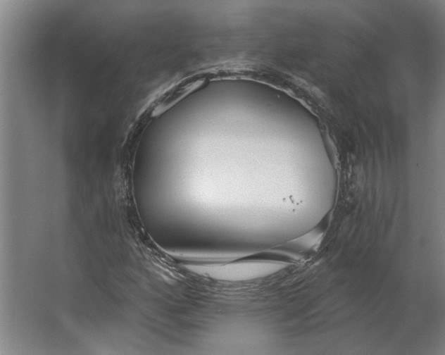 X0000062911160200601271732