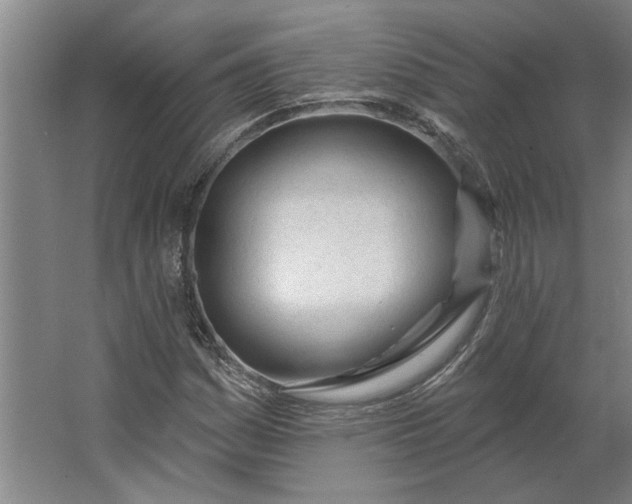 X0000062911161200601271732