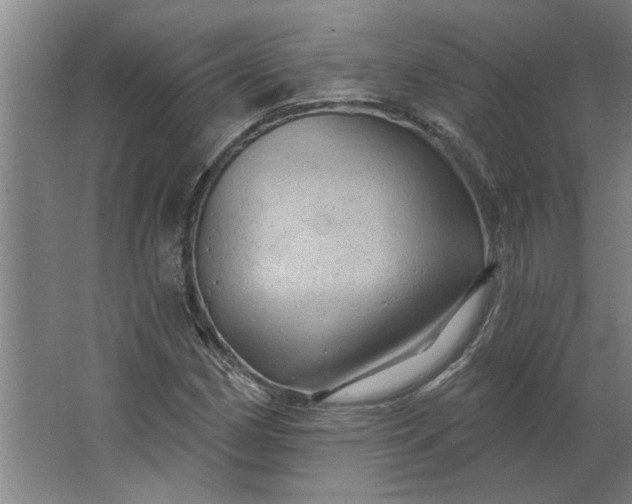 X0000062911162200601271732