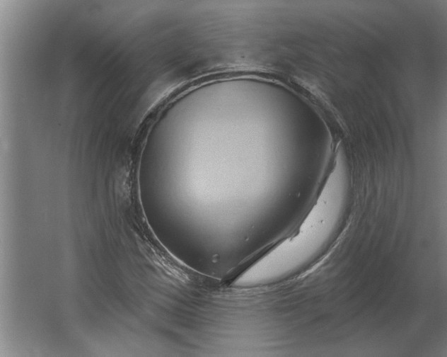 X0000062911163200601271732