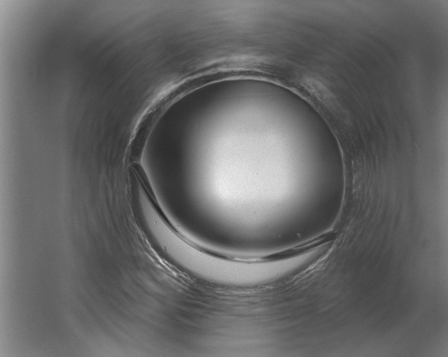 X0000062911164200601271732