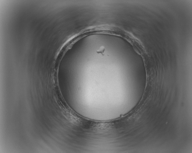 X0000062911166200601271732