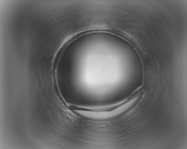 X0000062911168200601271732