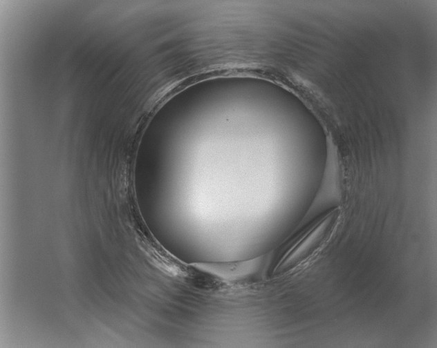 X0000062911169200601271732