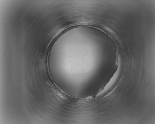 X0000062911170200601271732