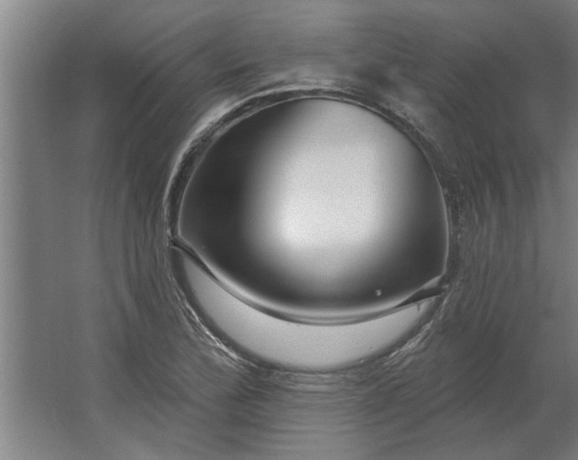 X0000062911172200601271732